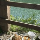 [공주 카페] 충남 가볼만한곳 핫플 뷰맛집 야외 저수지뷰 엔학고레