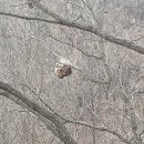 아랫도리 이미지