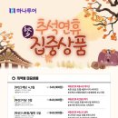 다미투어주