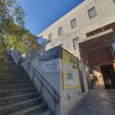 느티나무 플랫폼 이미지