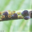 한스행정사사무소 이미지