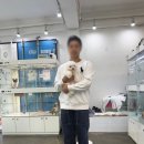 마리켄넬 24시강아지분양 애견분양 애견샵 | 용인,분당 애견분양샵 추천 "꼬숑"드툴레아분양 꼬숑입양 마리켄넬