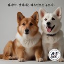 페츠런 이미지