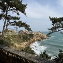 폴리파크 울산 동구점 이미지