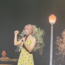 22.4.8 부산 너와 나의 봄🌸후기 이미지