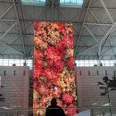 이현진농장 | 호주여행 1일차