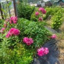 초입농장 이미지