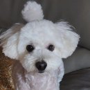 몽그라밍 이미지