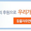 위드펫종합동물병원 이미지