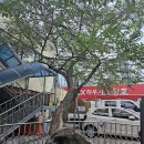 부곡2동 이미지