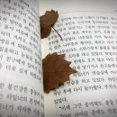 덕우출판사
