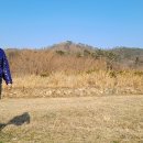 대봉산해안경관산책길 이미지