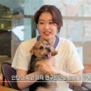 하버드모텔 이미지