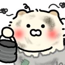 화성로 이미지