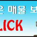 산새부동산공인중개사사무소 이미지