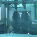 여천주유소 이미지