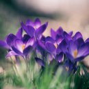 For You 이미지