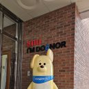 경북동물병원 이미지