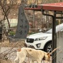 군산시-00326 티스토리