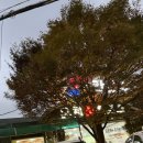 공주손칼국수 | 공주 온천손칼국수 주말 저녁 얼큰이칼국수 먹고 온 솔직후기