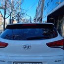 뉴성주카 이미지