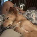 두두스테이 이미지