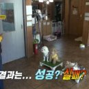 아껴줄개 이미지