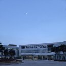 진등3길 | 참여후기💃 | [2024년도 대학(원)생 의회정치 리더십 과정]