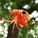 가온길하우스 | 전주 한옥 체험 가능한 숙소 추천과 예약 팁