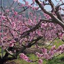 자계고택 이미지