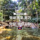 루앙프라방 여행 가볼 만한 곳 땃새 폭포 후기 및 맛집, 주의사항