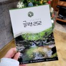 [양평] 숲속 계곡 캠핑장 &#39;글렌252&#39; 각 사이트 장단점 및 명당추천
