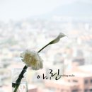 솔파인 레스토랑 이미지