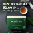 메타플러스 이미지