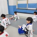 경희대 태권도 이미지