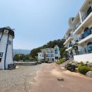 팜트리펜션 | 거제도 오션뷰 펜션 이국적인 분위기와 야외 바비큐, 스파까지 즐긴 팜풀빌라