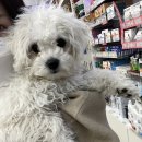 첨단종로약국 이미지