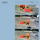 당곡지구대 이미지