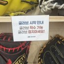 미트그라운드 | 부산 야구용품샵 그라운드K 방문 후기