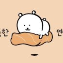 두툼연어 이미지