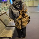 2WAY어학원투웨이 | [요시다 포터] PORTER CRAG 2WAY RUCKSACK / 포터 크랙 투웨이 럭색 리뷰 및 후기
