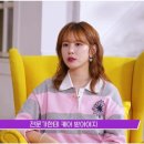 레푸스 다산