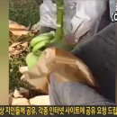중국식품 이미지