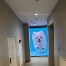 수석한의원 | 르블라썸 강남 미용실 추천 장발 레이어드컷펌 민희 수석 디자이너 후기