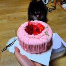 서면 힙한 카페 힌터그룬트, 전포 케이크 포장 후기