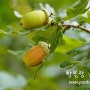 박*철 이미지
