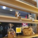 명륜동-4 이미지