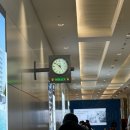 (주)모리셔스 | 1년 묵은 두바이🇦🇪•모리셔스🇲🇺신혼여행 후기✈️ -1