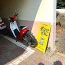 신엄낚시 | 제주 놀거리 볼거리 추천 제주 갈만한곳 리스트 (제주 배낚시 / 한라봉따기체험 / 스쿠터 대여)