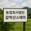 법인감악산스테이